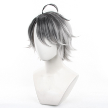 Load image into Gallery viewer, Identity V - Emil-Cosplay Wig-Animee Cosplay