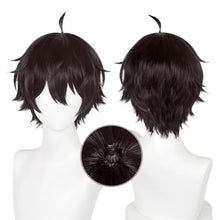 Load image into Gallery viewer, Honkai Star Rail - Dan Heng-Cosplay Wig-Animee Cosplay