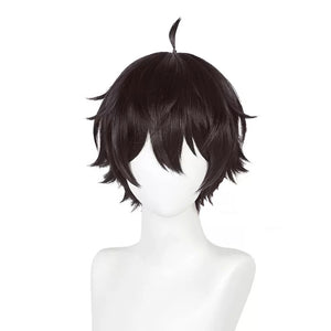 Honkai Star Rail - Dan Heng-Cosplay Wig-Animee Cosplay