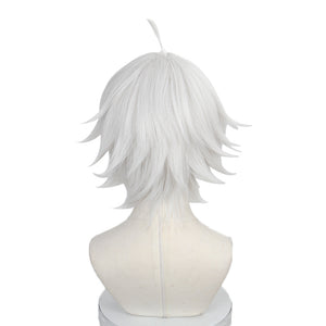 Blue Lock - Nagi Seishiro-Cosplay Wig-Animee Cosplay